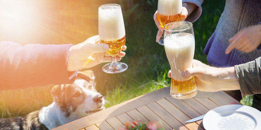 Family of different ages people cheerfully celebrate outdoors with glasses of beer proclaim toast