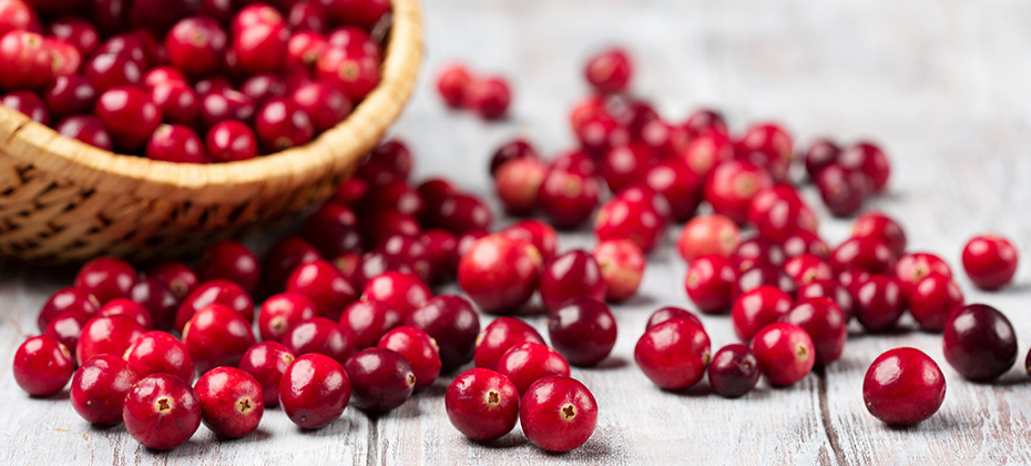 Harvest fresh red cranberries in wicker basket selective focus Autumn concept