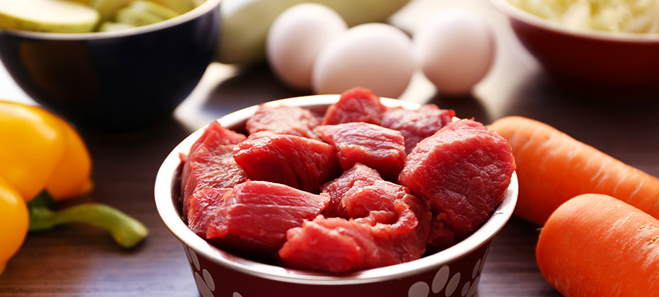 Healthy dog food on wooden background