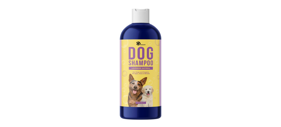 Honeydew Colloidal Oatmeal Dog Shampoo