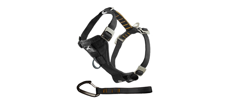 Kurgo Tru-Fit Enhanced Strength Dog Harness