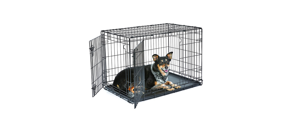 New World Pet Products Folding Metal Dog Crate