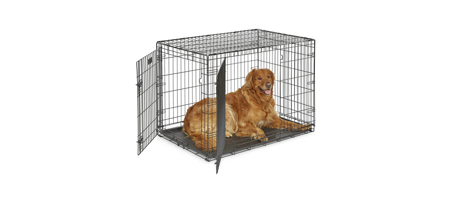 MidWest iCrate Fold & Carry Wire Dog Crate