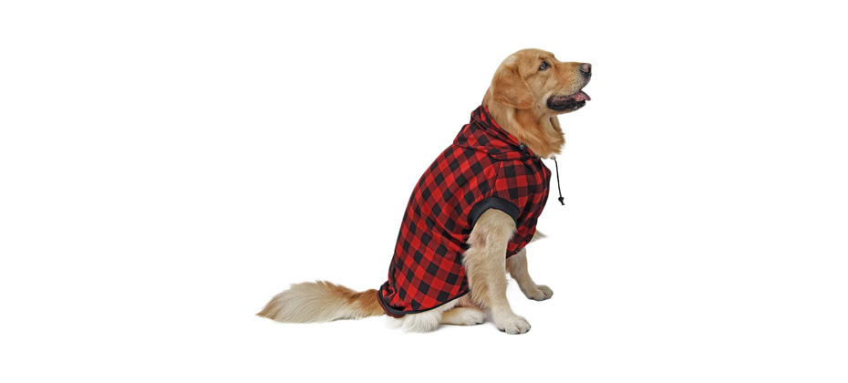 PAWZ Road Plaid Dog Sweater