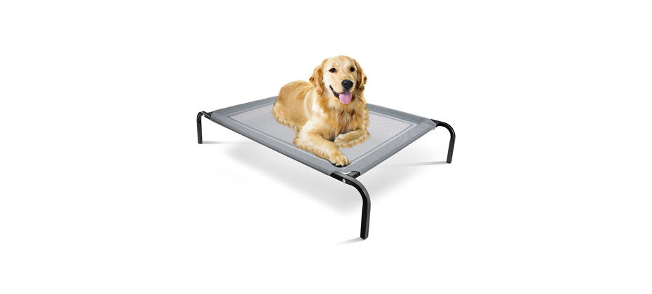 Paws & Pals Raised Dog Bed
