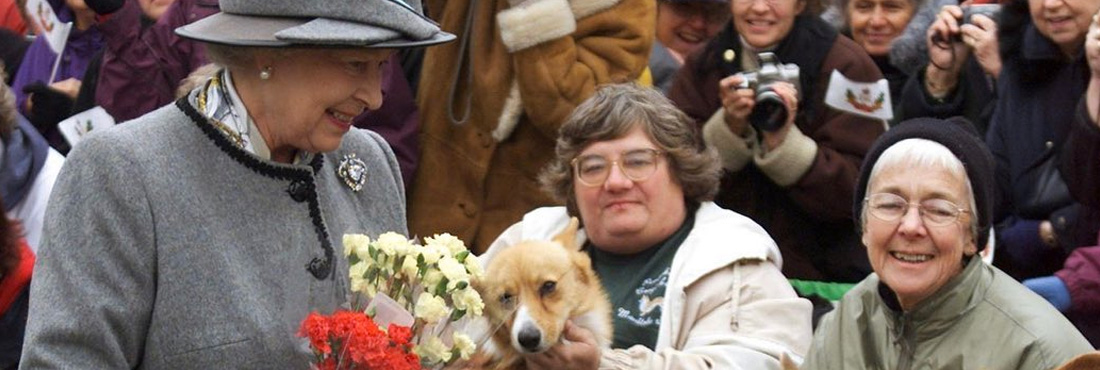 The Queen’s Corgis Return to Windsor