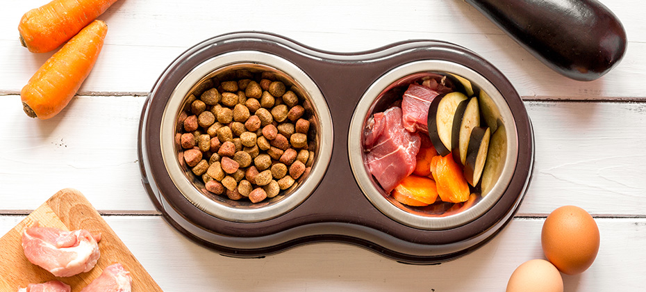 Top view of pet kibble, fresh meat, and veggies in a double pet food bowl on a white wooden table.