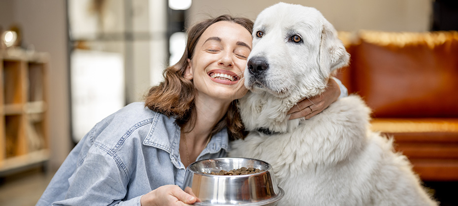 Woman feeding dog with a dry food at home
