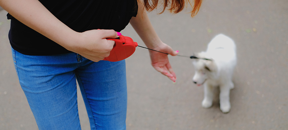 Young girl is walking with her dog on a retractable leash on asphalt sidewalk