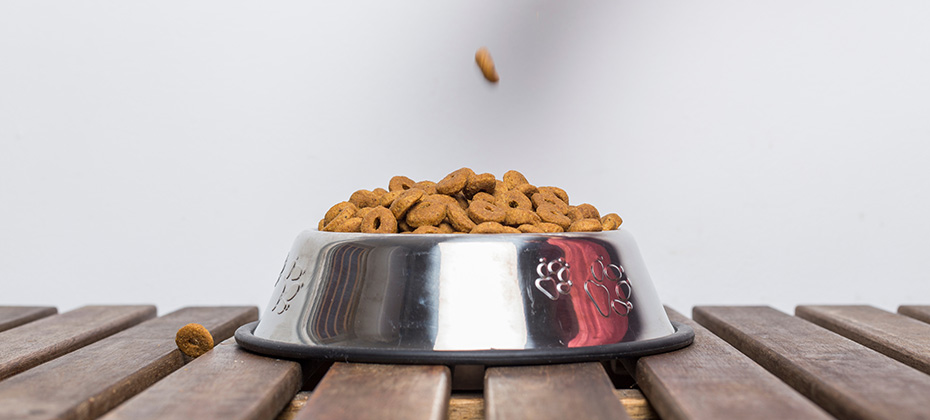 dog food into a silver bowl on a wooden table on a white background
