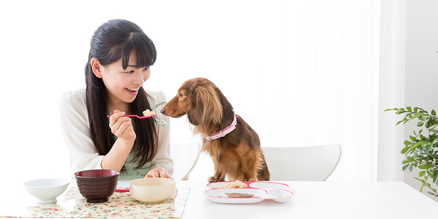 young asian woman and dog lifestyle image