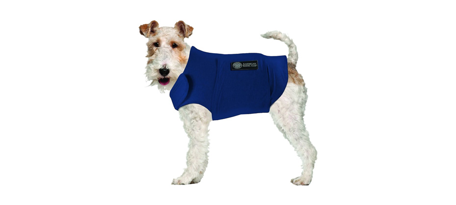American Kennel Club Anxiety Vest For Dogs
