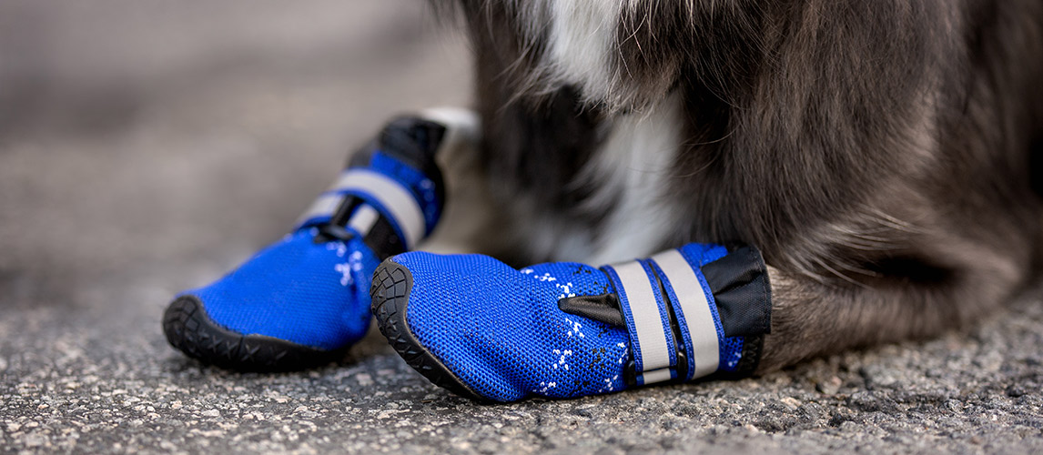 Best-Dog-Boots