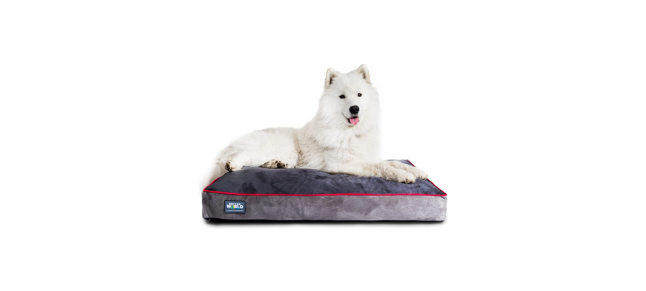Better World Pets Orthopedic Pillow Dog Bed 