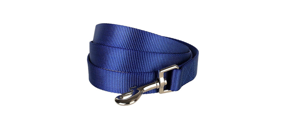 Blueberry Pet Classic Leash