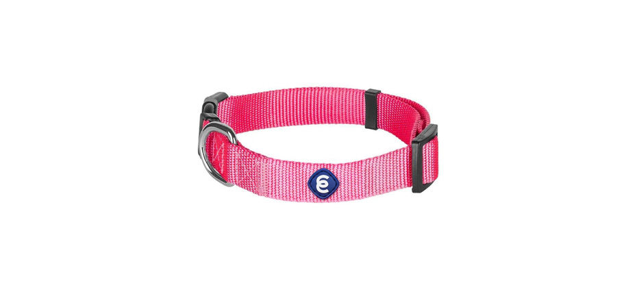 Blueberry Pet Classic Solid Nylon Dog Collar