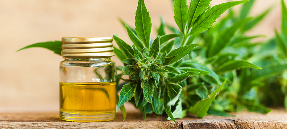 CBD oil hemp products