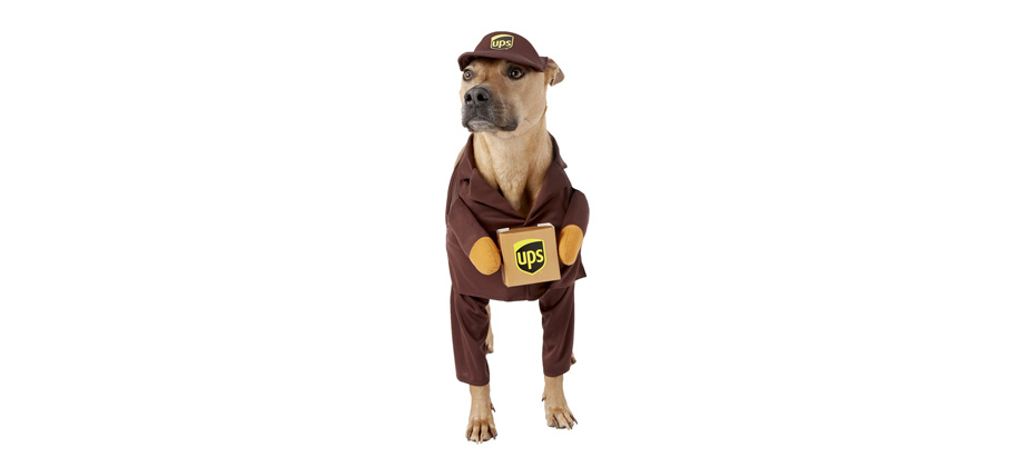 Best Large Dog Costume: California Costumes UPS Delivery Driver