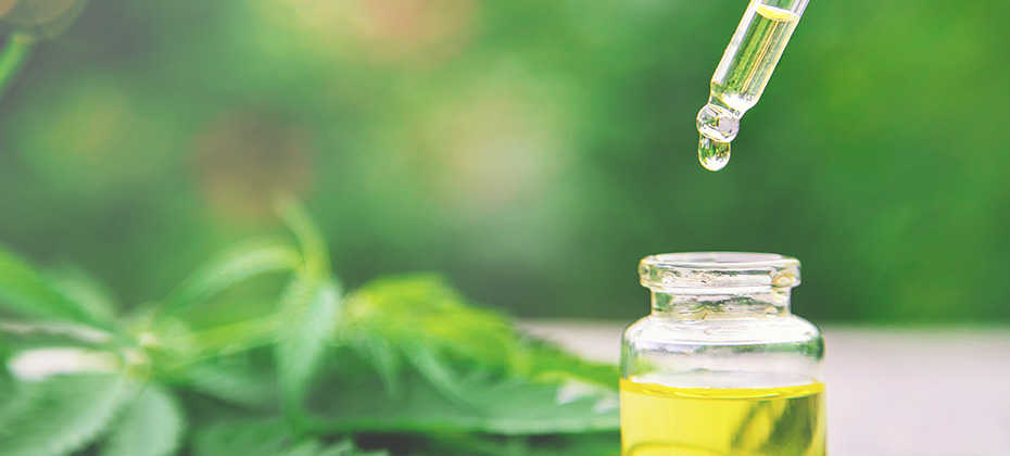 Cannabis essential oil in a small bottle