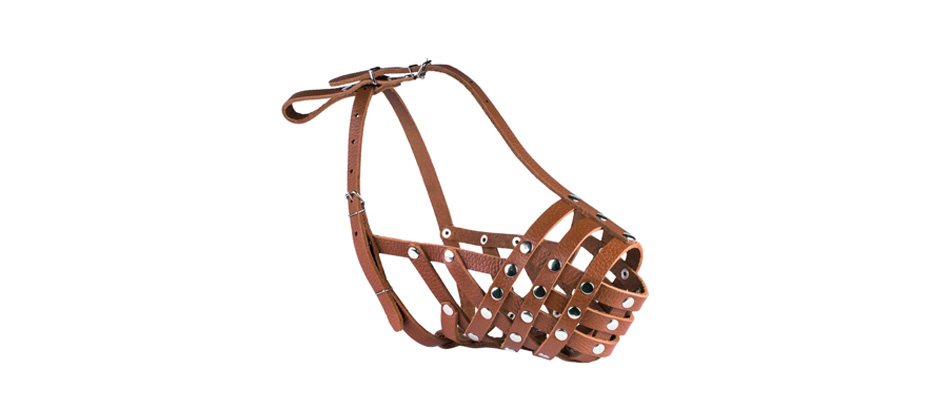 CollarDirect Leather Basket Dog Muzzle