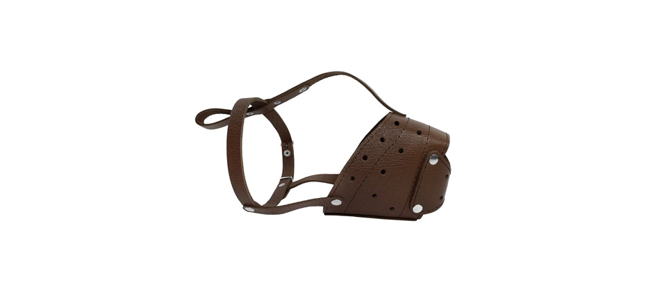 CollarDirect Leather Dog Muzzle for Terrier