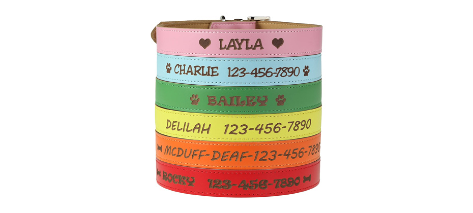 Custom Catch Personalized Dog Collar