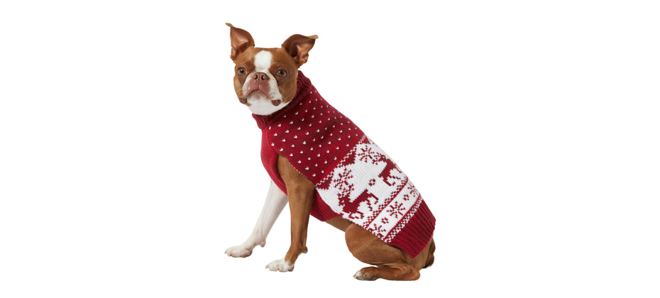 Best for Stylish Dogs: Frisco Deluxe Marled Fair Isle Reindeer Dog Sweater