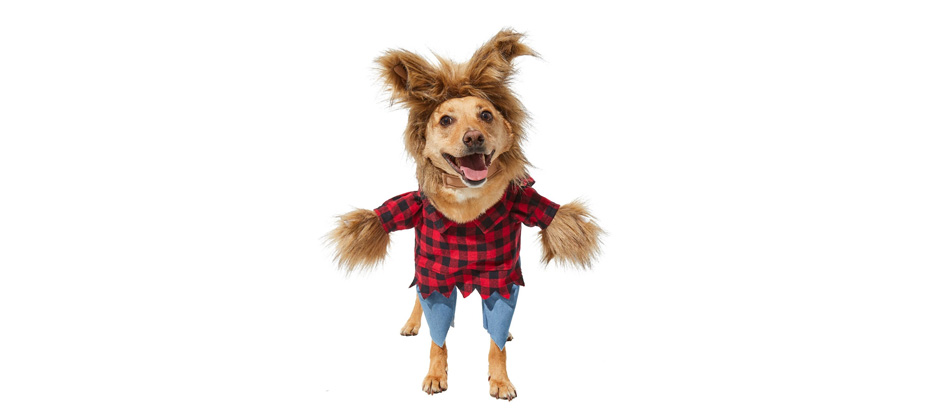 Best Overall: Frisco Front Walking Werewolf Dog & Cat Costume
