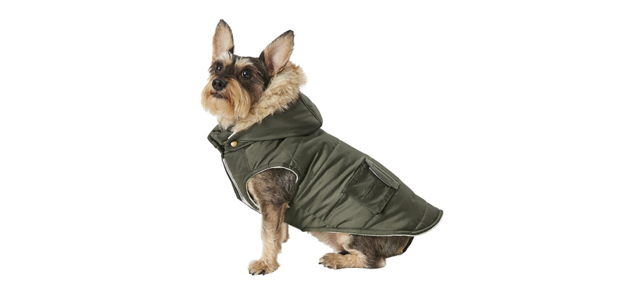 Frisco Portland Insulated Dog Parka