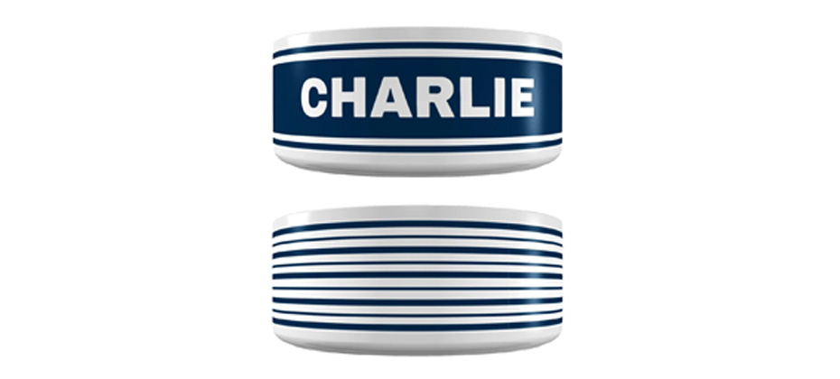 Frisco Preppy Stripes Ceramic Personalized Dog Bowl