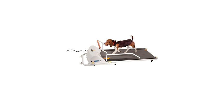 GoPet PR720F Dog Treadmill