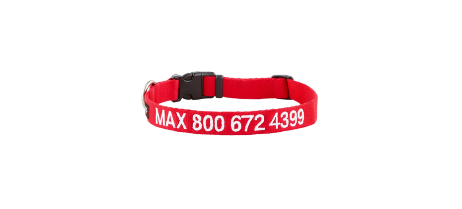 GoTags Personalized Nylon Dog Collar