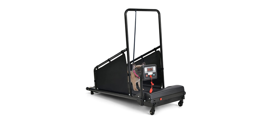 Goplus Dog Treadmill