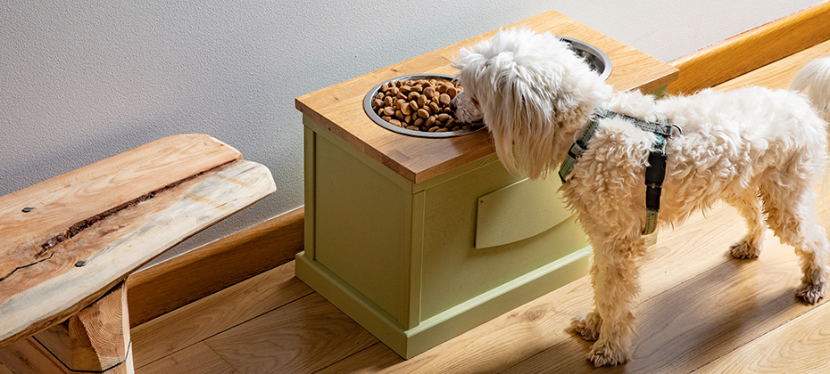 Handmade dog dining table