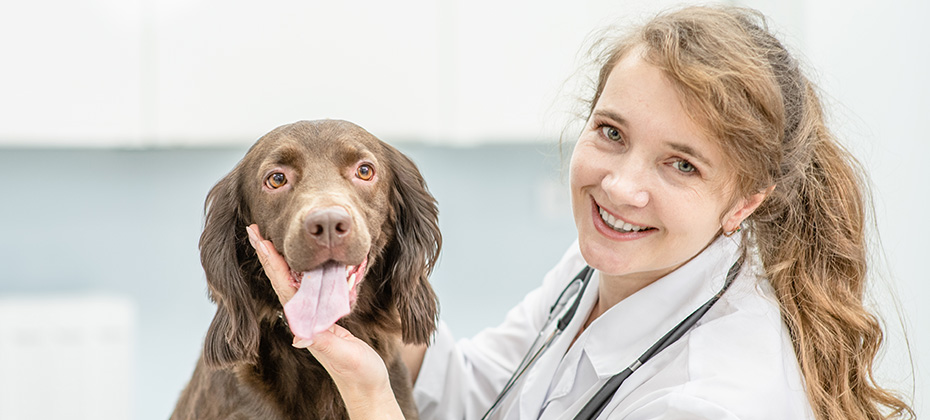 Happy veterinarian doctor hugs a dog at vet clinic
