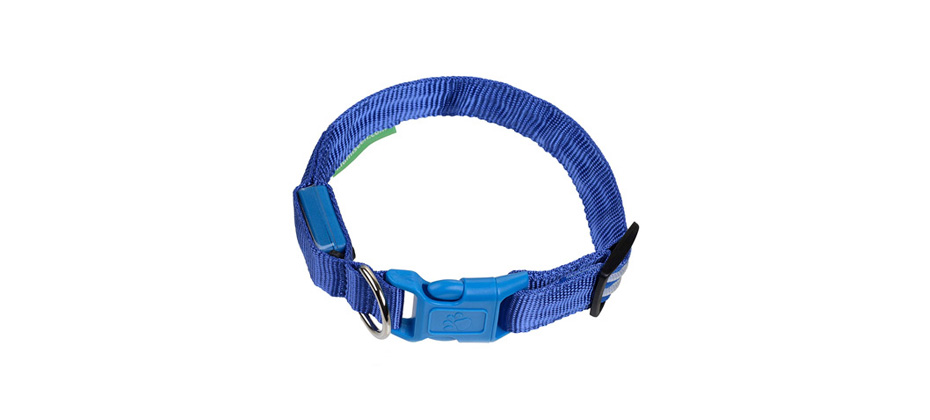 Illumiseen LED USB Rechargeable Nylon Dog Collar