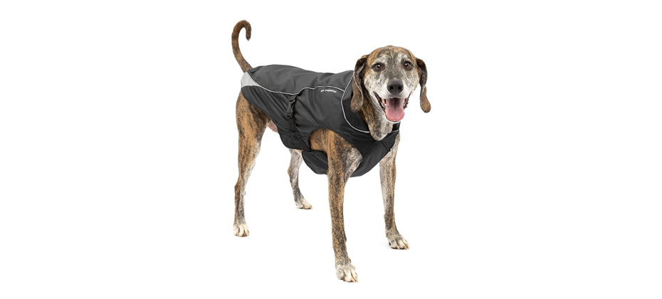 Kurgo North Country Dog Coat