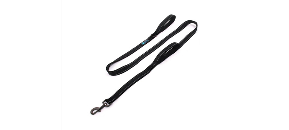 Max and Neo Reflective Nylon Dog Leash