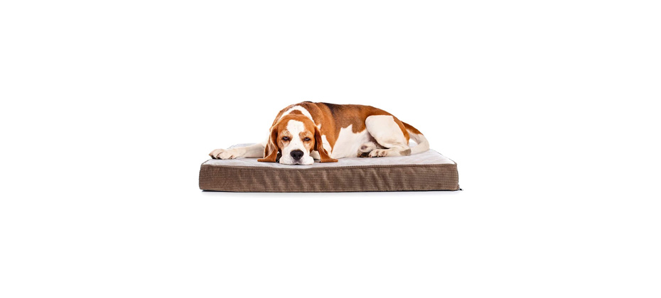 Milliard Quilted Padded Orthopedic Dog Bed