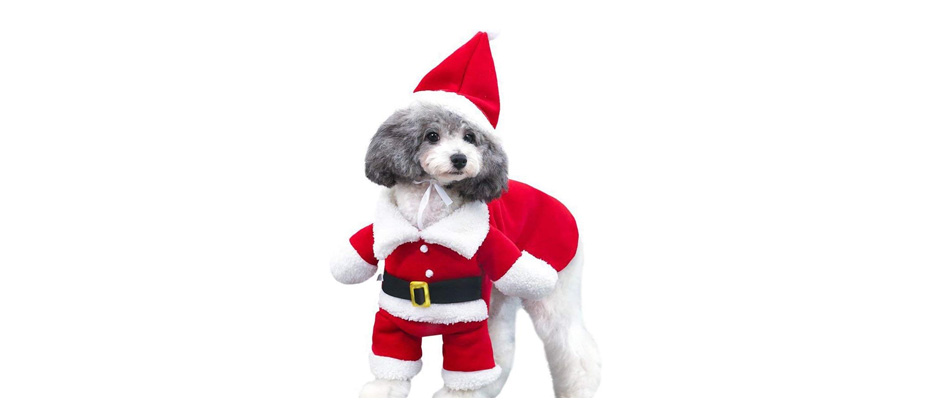 NACOCO Dog Santa Costume