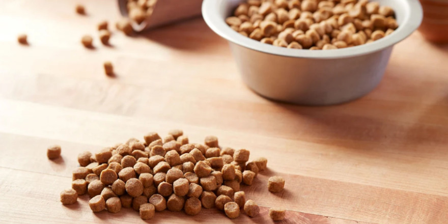 Nature's Recipe Dry Dog Food on a wooden table.