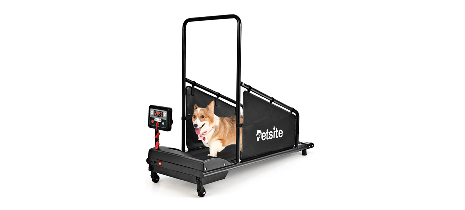 PETSITE Dog Treadmill