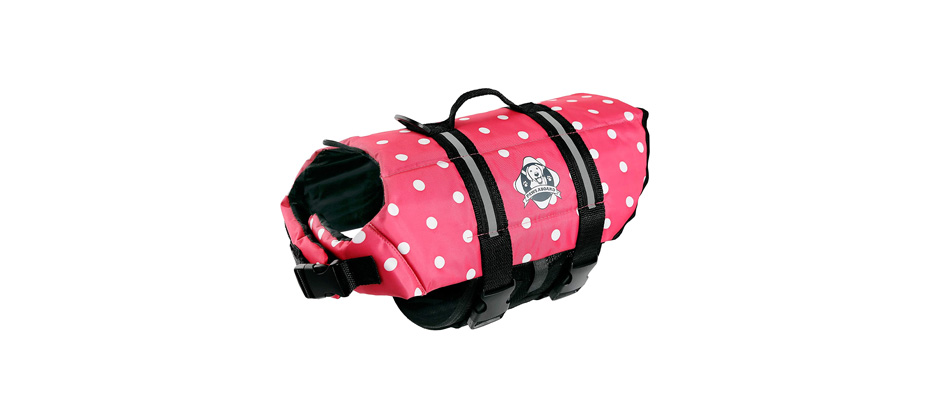 Best Premium: Paws Aboard Dog Life Jacket