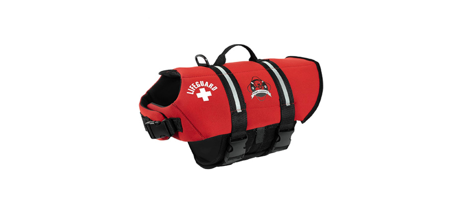Best Heavy-Duty: Paws Aboard Life Jacket For Dogs