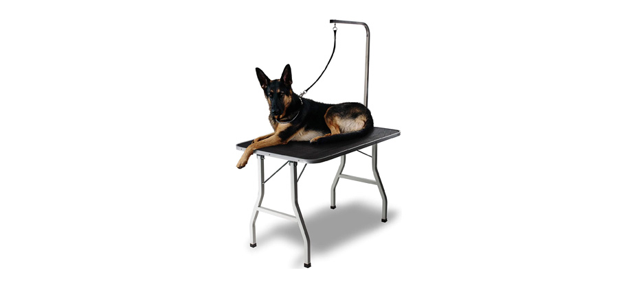 Paws & Pals Dog Grooming Table