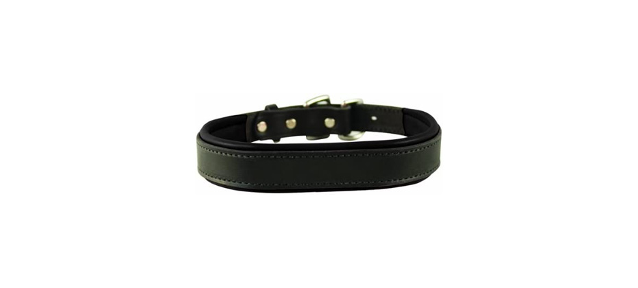 Perri's Padded Leather Dog Collars