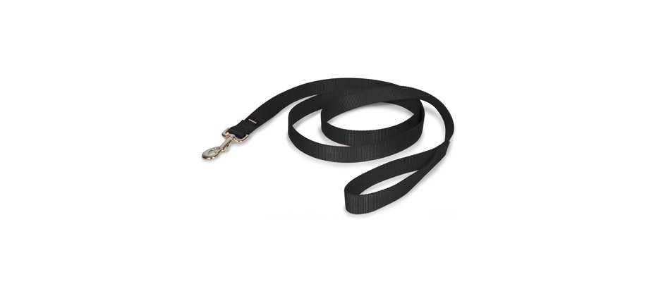 PetSafe Nylon Dog Leash