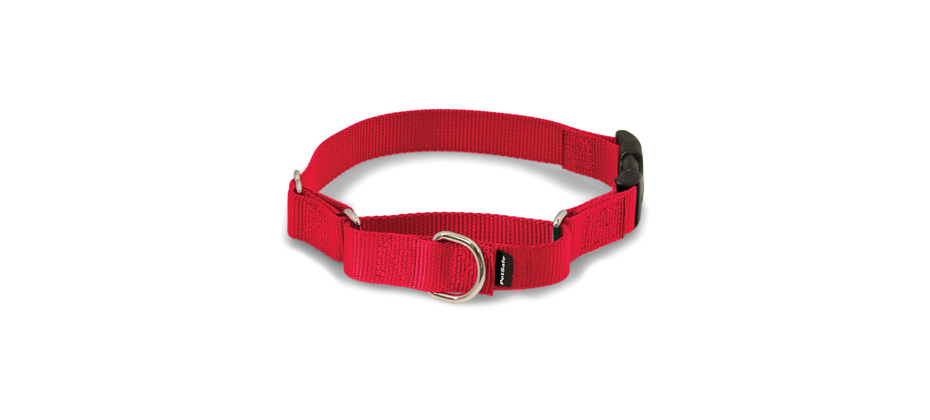 PetSafe Quick Snap Buckle Martingale Dog Collar