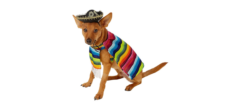 Best Small Dog Costume: Rubie's Costume Company Serape