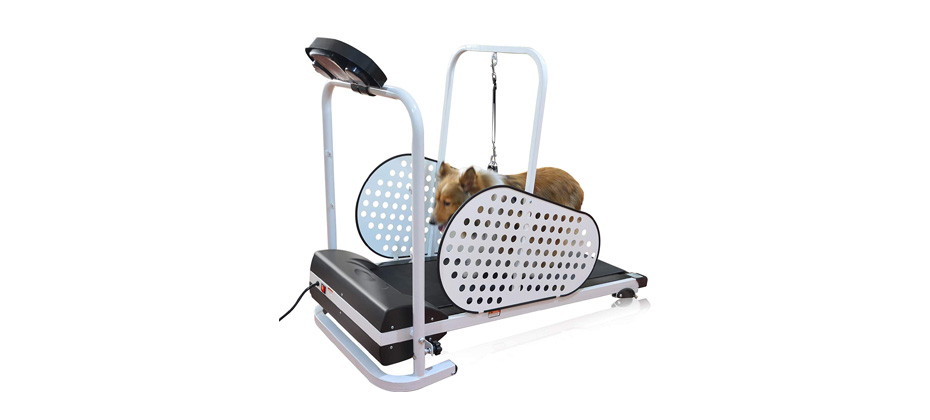 SHELANDY Pet Treadmill